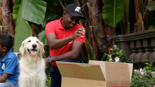 AGS Movers staff getting dog ready to be transported.