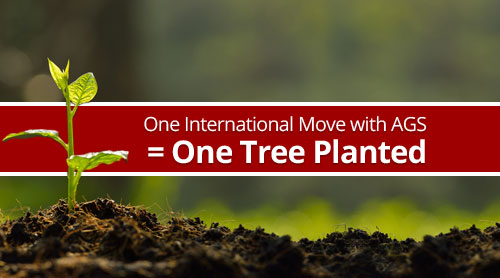 One international move with AGS = one tree planted