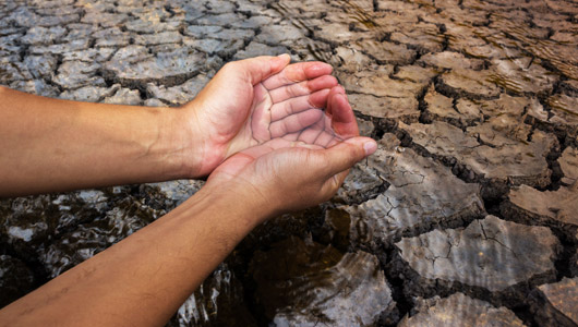 Hands and water on a dry ground